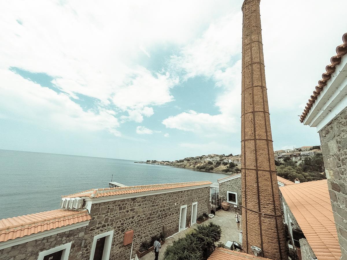 Olive Press Hotel & Apartments Mythimna Zewnętrze zdjęcie