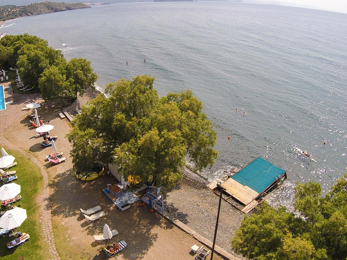 Olive Press Hotel & Apartments Mythimna Zewnętrze zdjęcie